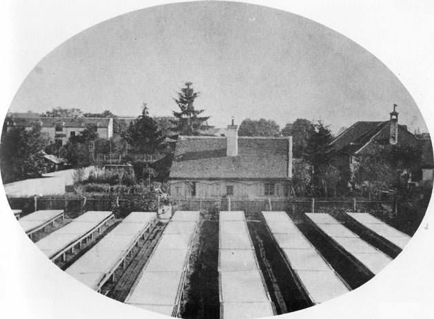 Wachsbleiche der Firma Ebenböck