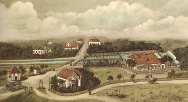  - Bad 

Riesenfeld