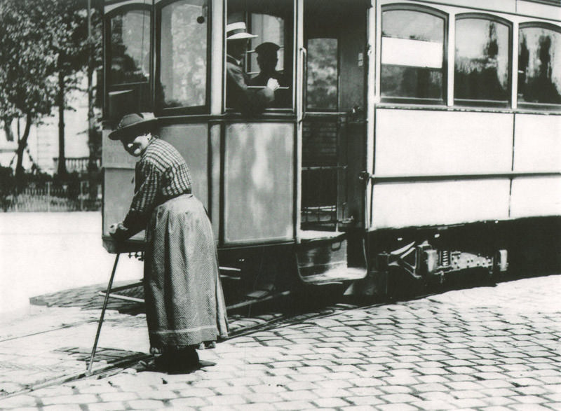 Schienenritzenreinigungsdame