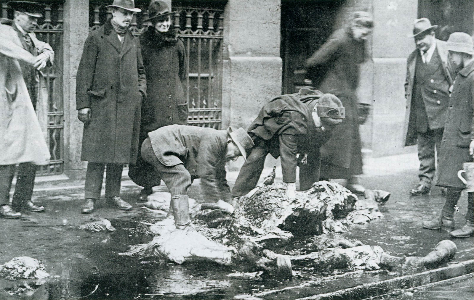 Ausschlachten eine Artilleriepferdes der Regierungstruppen