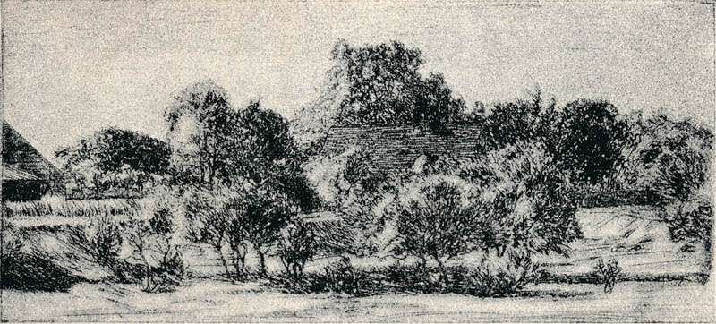 Bauernhaus im Garten bei Föhring