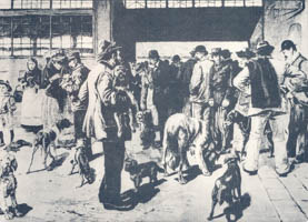 Landshammer A. – Der Hundemarkt