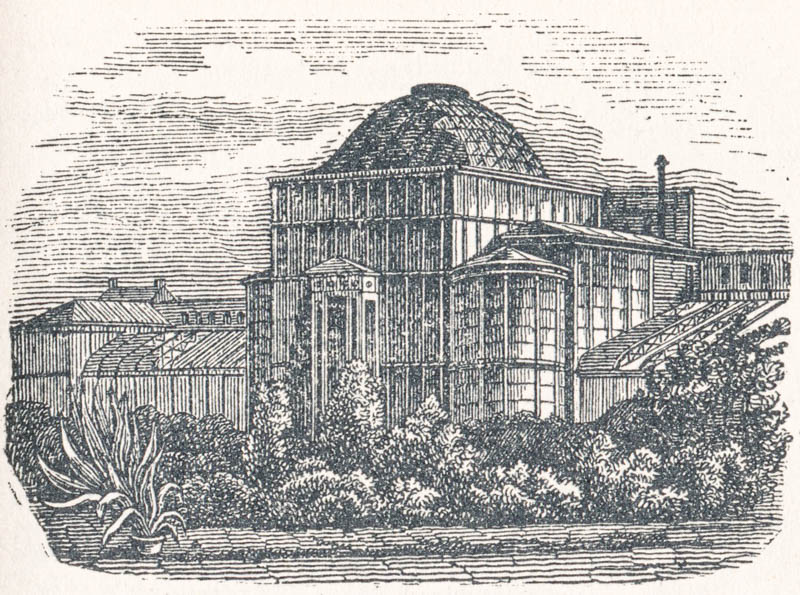 Palmenhaus