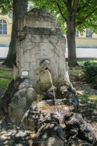 Löwenbrunnen – Foto aus München