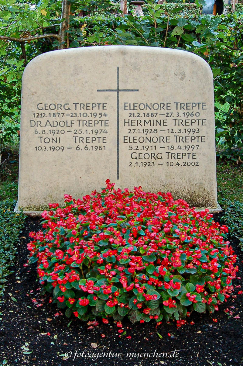 Trepte Toni
