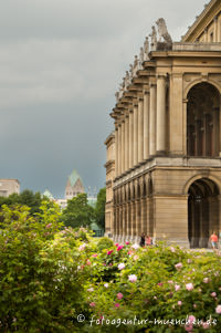 Hofgarten mit Blick auf die St. Anna Kirche – Foto aus München