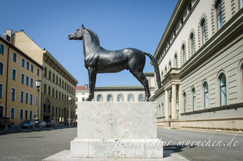 Pferdestandbild für die deutsche Kavallerie – Denkmal/Kunstwerk in München