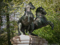 Gerhard Willhalm – Wilde Pferde