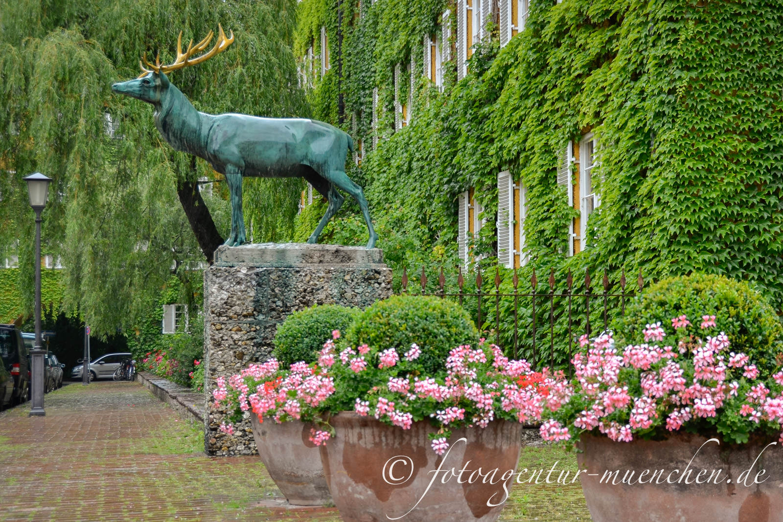 Hirsch