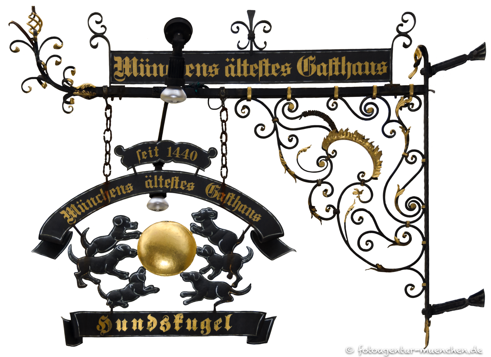 Nasenschild Hundskugel