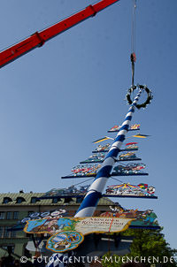 Maibaumaufstellung 2012 – Foto aus München