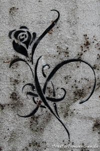 Gerhard Willhalm – Stencil - Rose