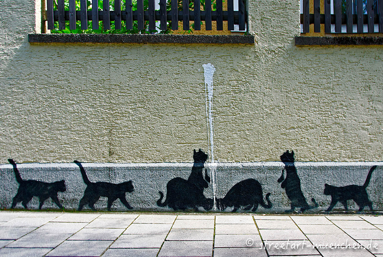 Katzen