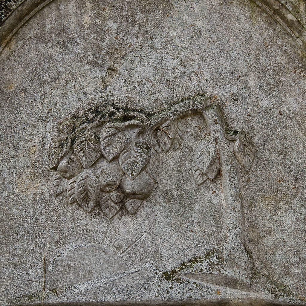 Abgebrochener Baum