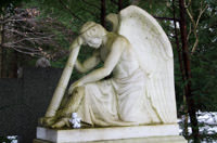 Engel auf dem Waldfriedhof – Foto aus München