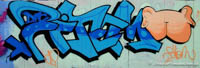 Arsch mit Ohren