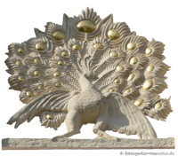 Jugendstil - Pfau – Foto aus München