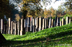Ichenhausen Jüdischer Friedhof