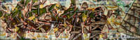Gerhard Willhalm – Graffiti im Viehhof