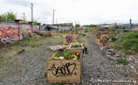 Gerhard Willhalm – Graffiti im Viehhof