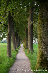Kottmüller Allee