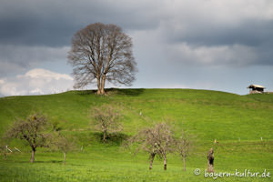 Bayerische Impressionen