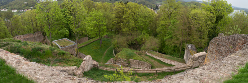 Burgruine Donaustauf