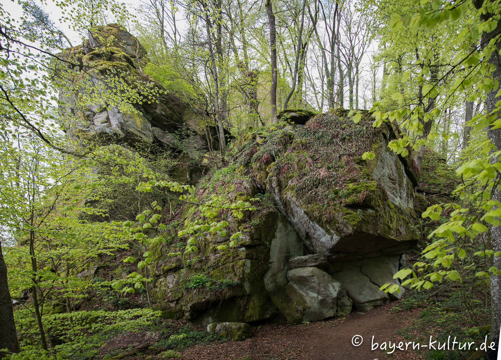 Schlosspark Falkenstein