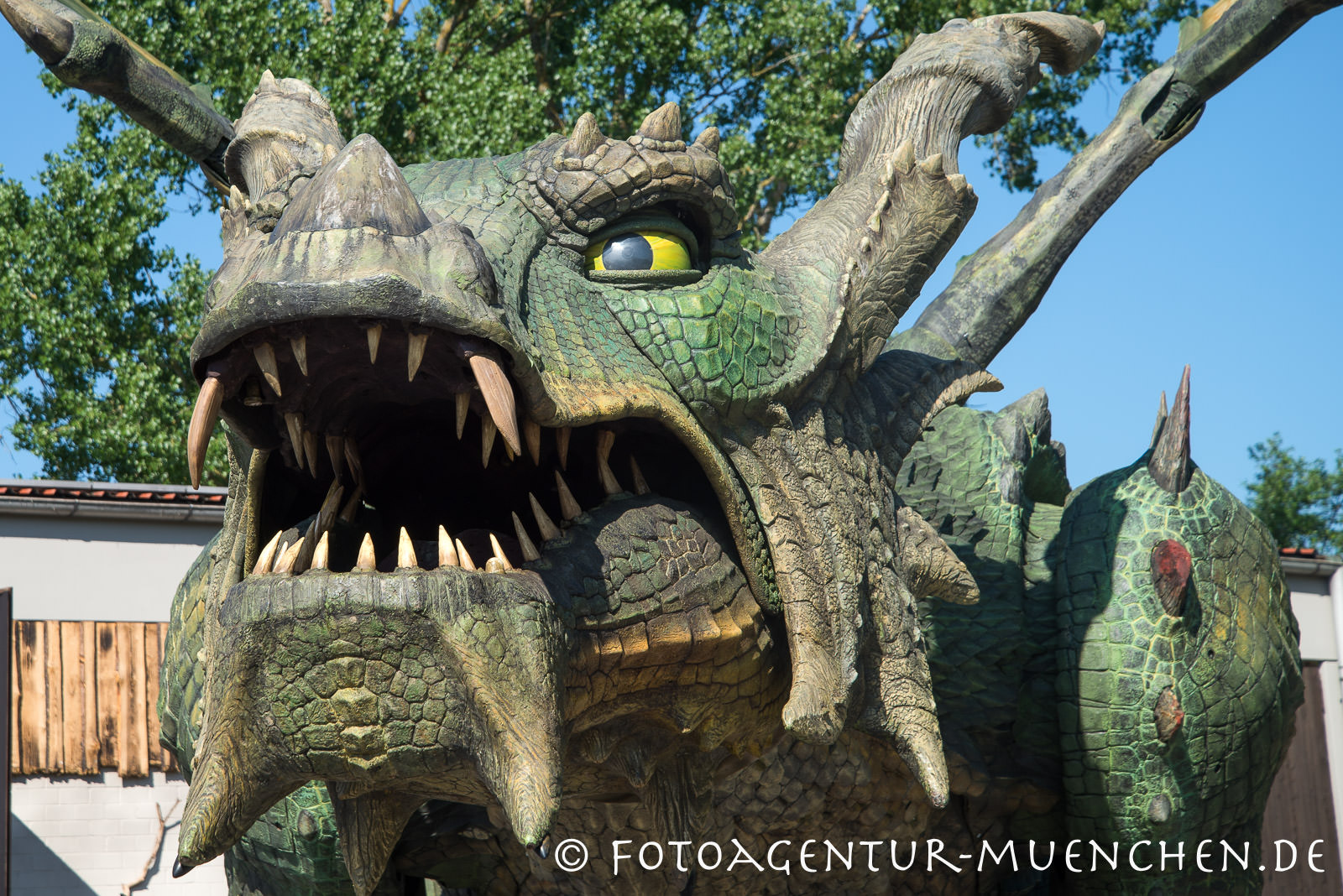 Further Drache