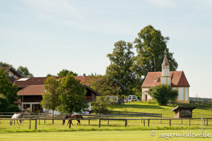Ulrichskapelle in Thann