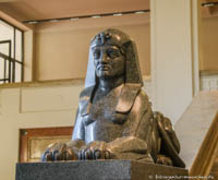 Sphinx - Neue Anatomie – Foto aus München