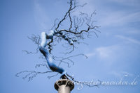 Kunstwerk „Donaubaum“
