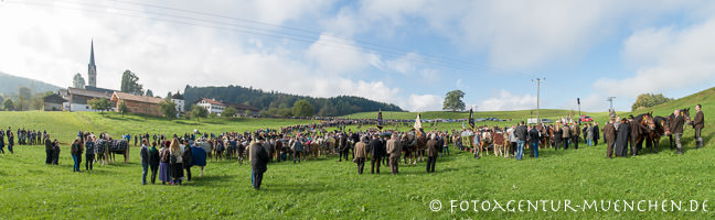 Leonhardifahrt in Reichersdorf