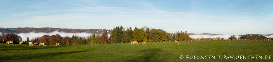 Blick auf das Isartal