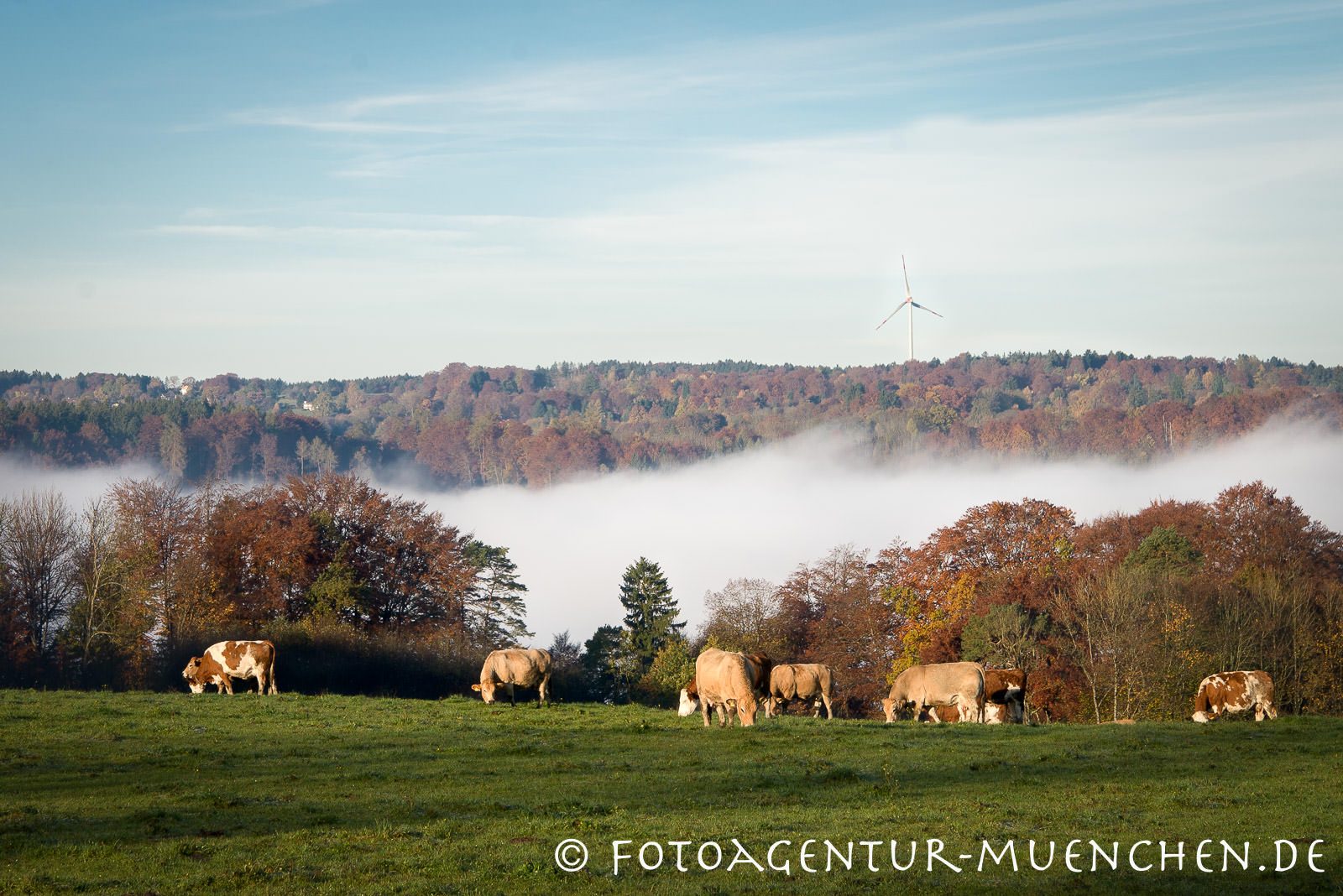 Blick aufs Isartal