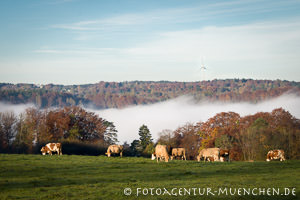 Blick aufs Isartal