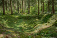 Waldlager - Mühldorfer Hart