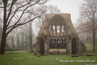 Klosterruine Heisterbach