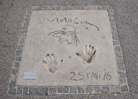 MOWOS - Udo Lindenberg – Foto aus München