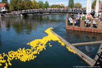 Entenrennen