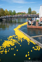 Entenrennen
