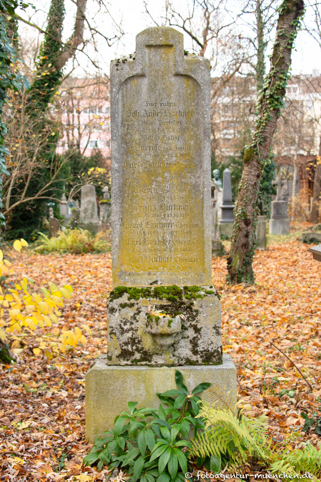 Andreas Buchner