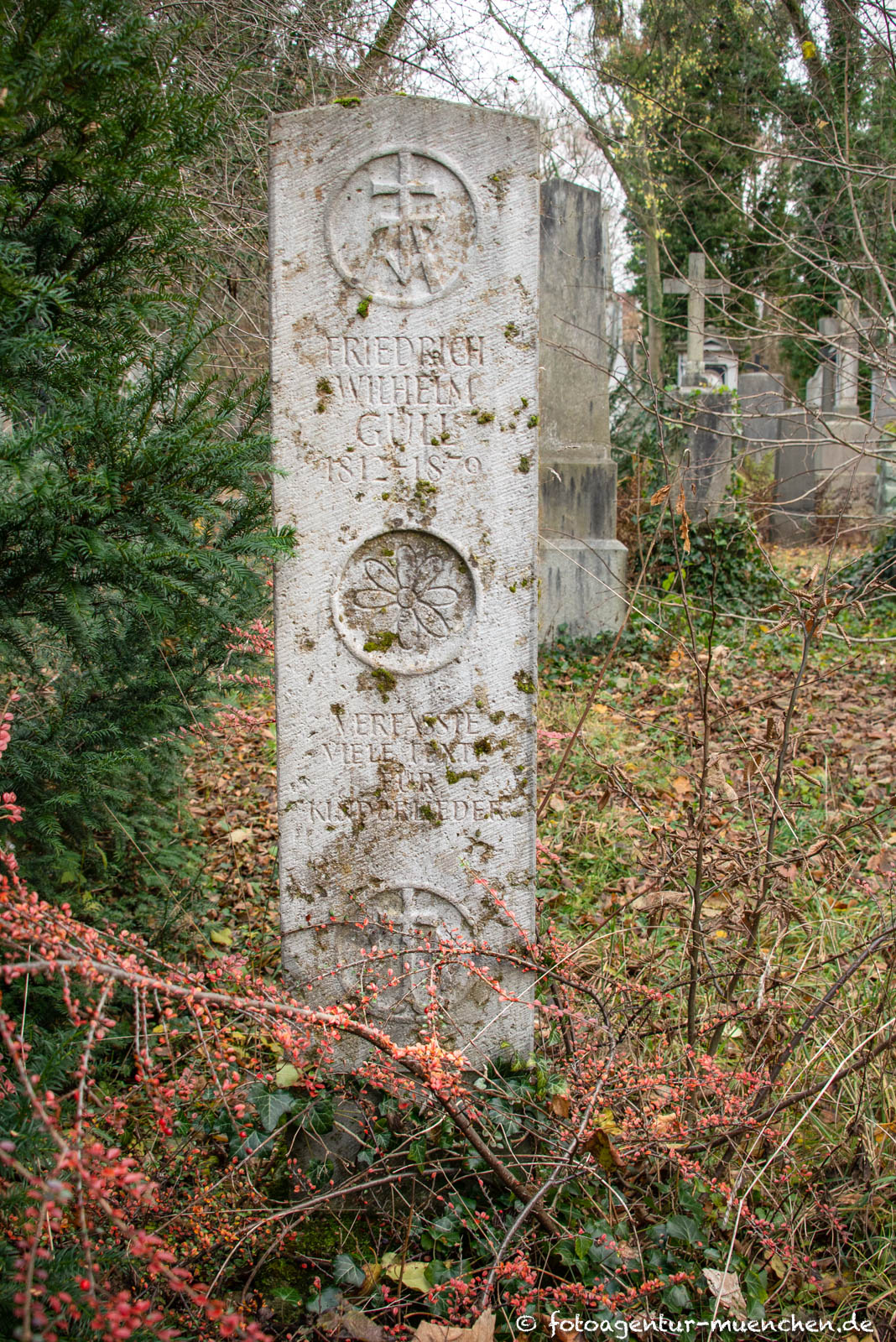 Friedrich Güll