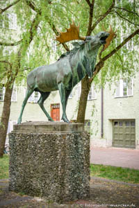 Elch – Foto aus München