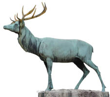 Gerhard Willhalm – Hirsch - Borstei