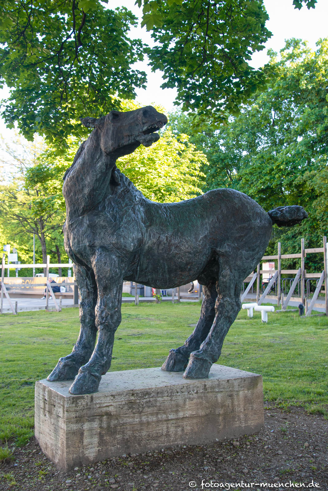 Wieherndes Pferd