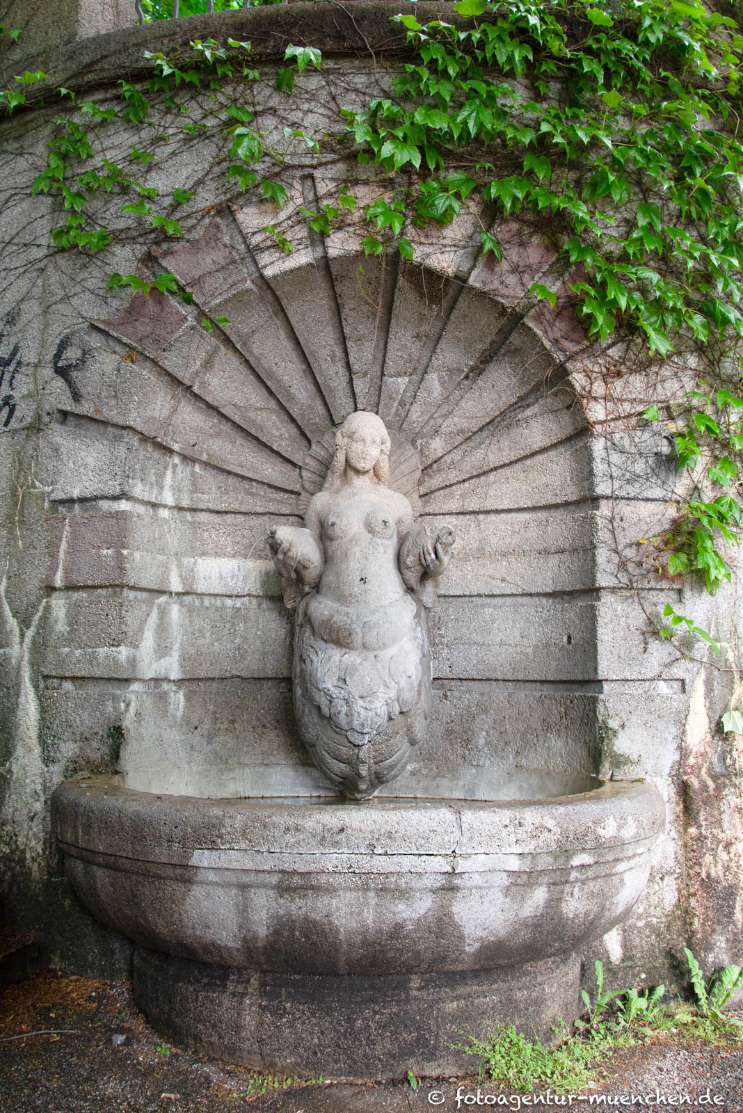 Brunnenweibchen