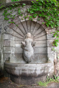 Widmer Philipp - Brunnenweibchen
