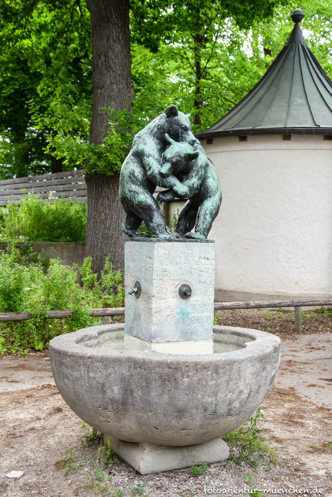 Spielende Bären
