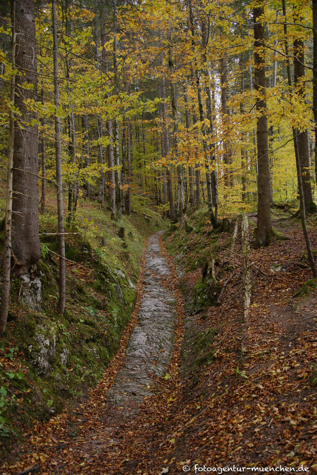 Römerweg
